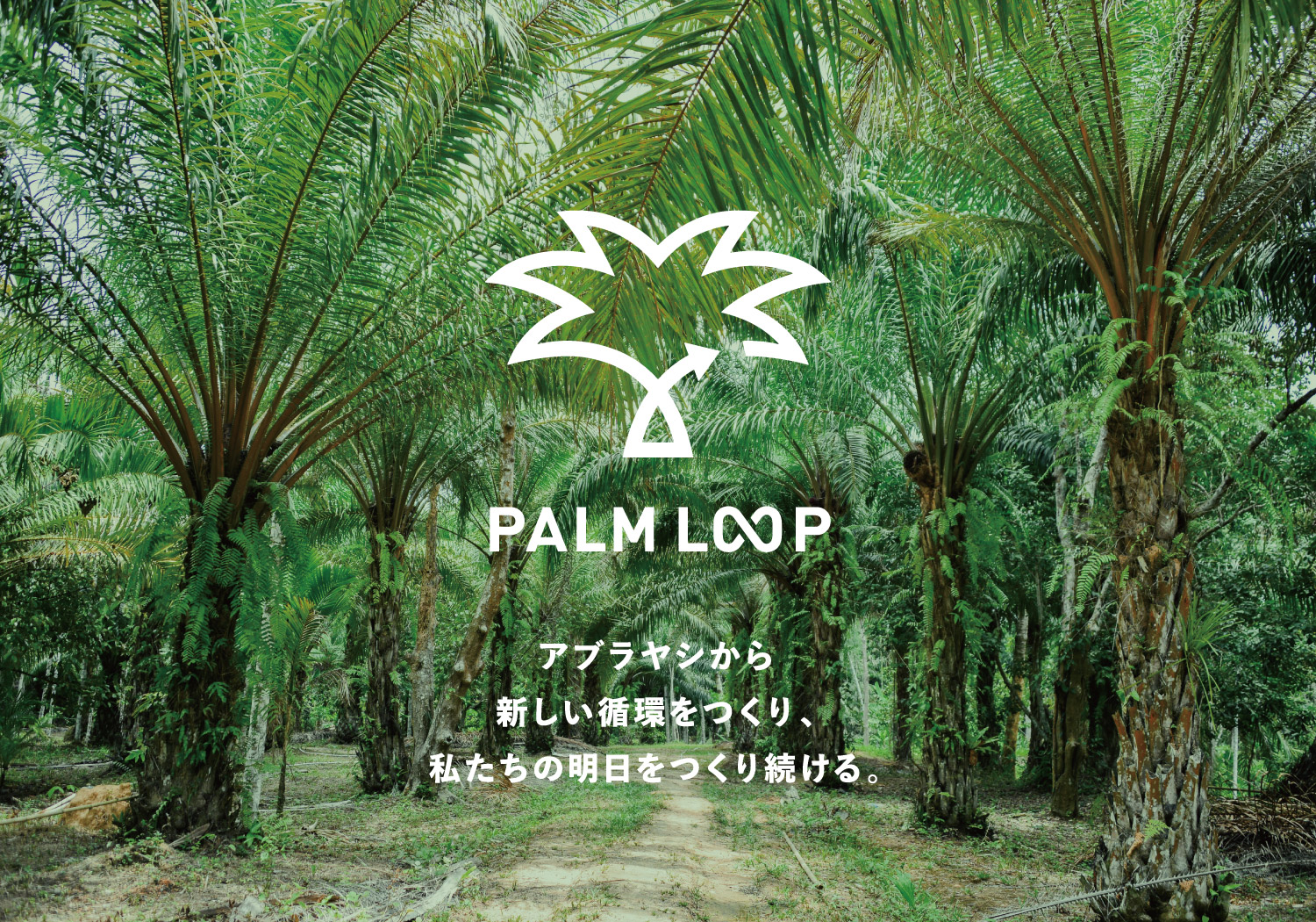 PALM LOOP アブラヤシから新しい循環をつくり、私たちの明日をつくり続ける。